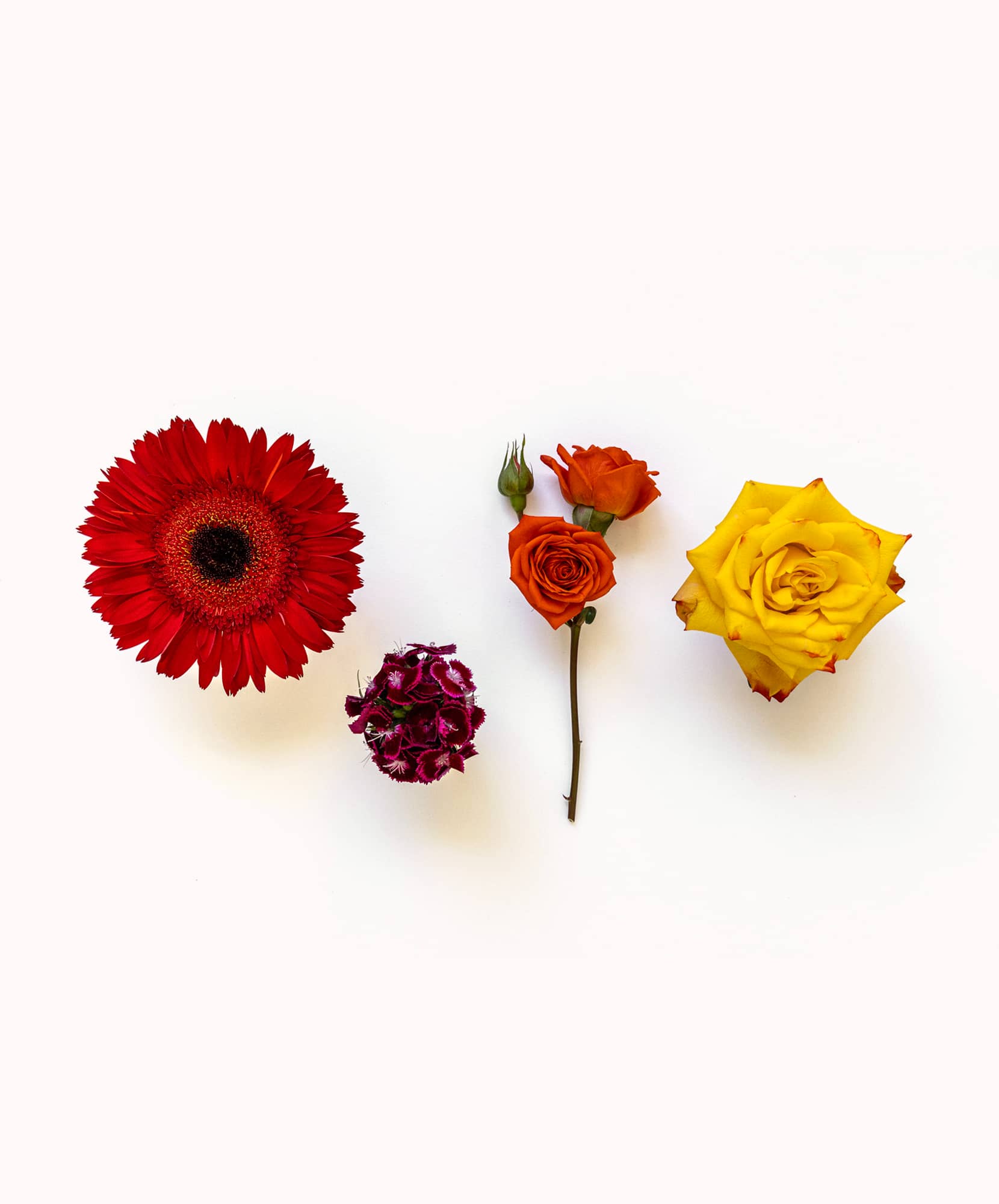 Vibrant floral arrangement featuring red gerbera daisies, roses, and cheerful blooms.