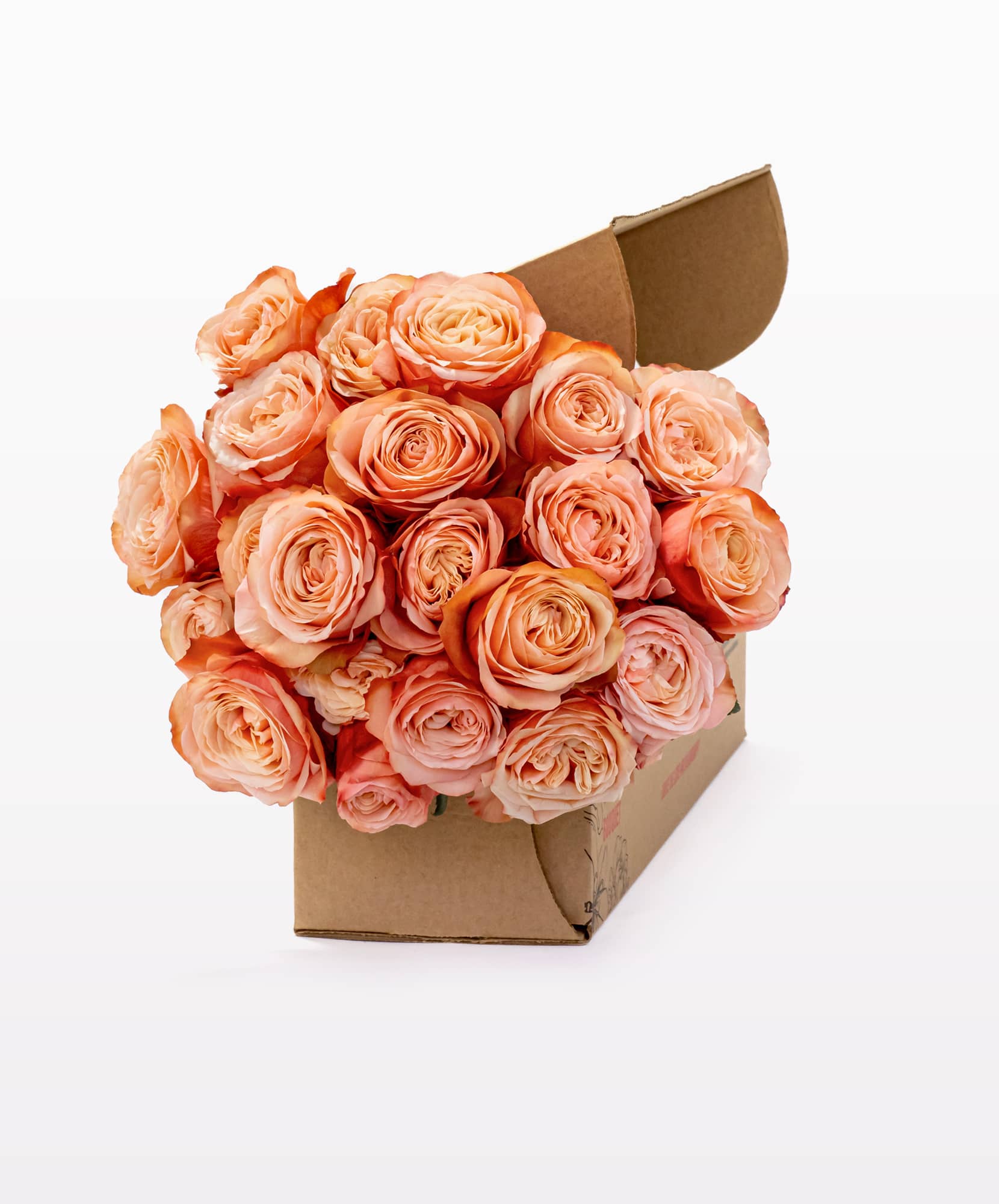 Peach-colored roses elegantly arranged in a box, perfect for gifting or special occasions.